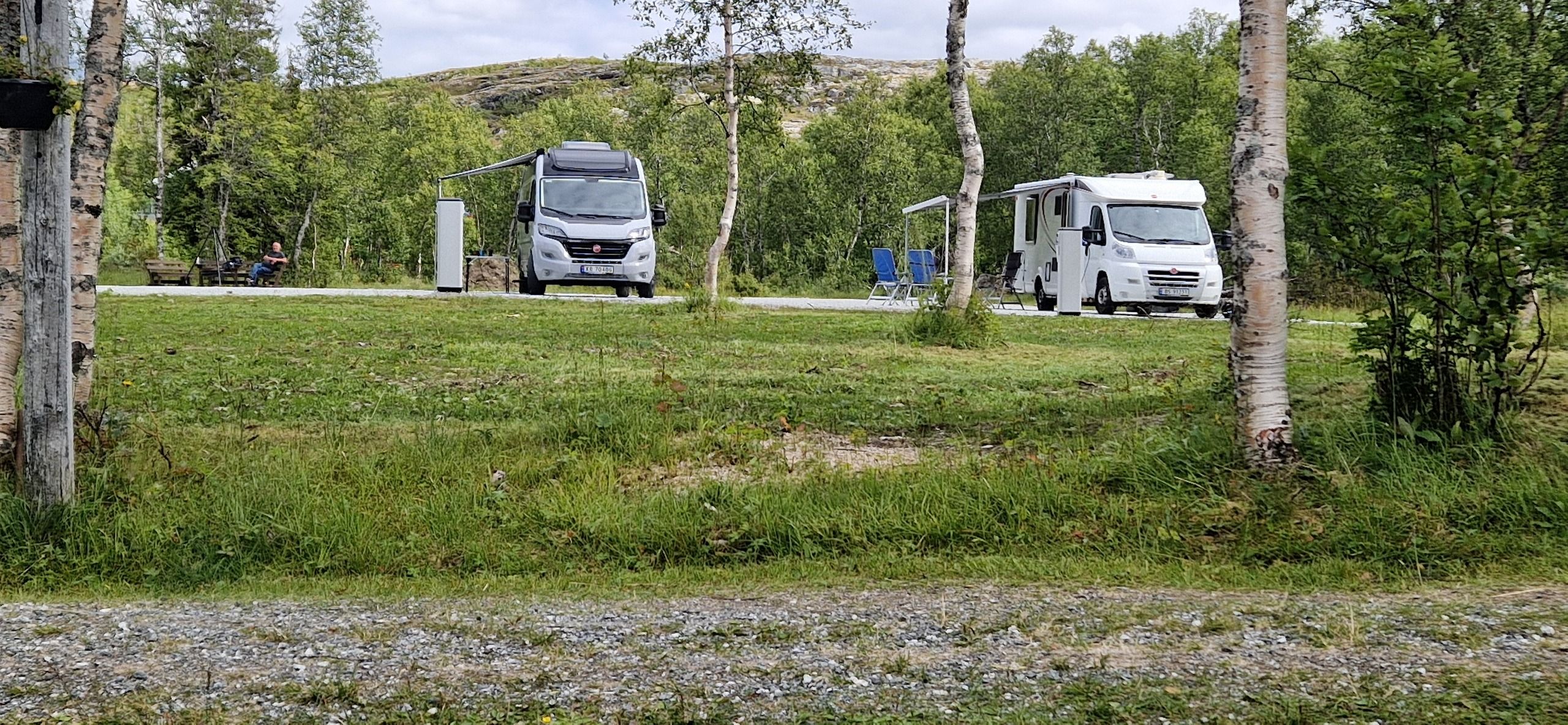 Bobiler mellom bjørketrærne
